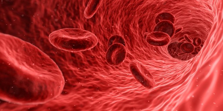 LA TERAPIA FÍSICO VASCULAR BEMER (Rafael Vázquez Tapia – Madrid)